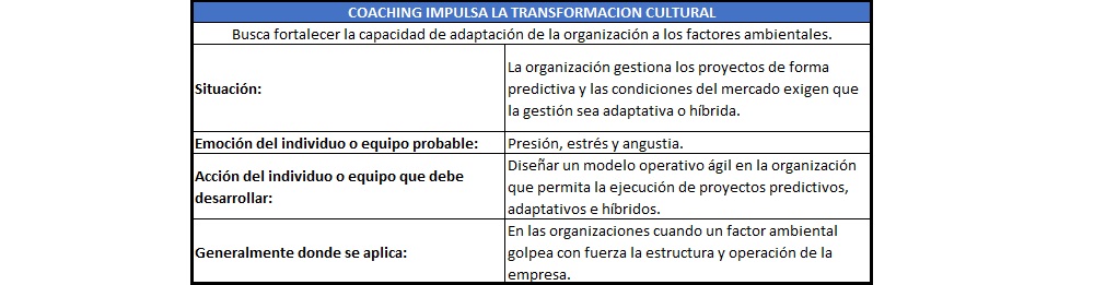plantilla que muestra como se debe diligenciar el documento para coaching: impulsa la transformación cultural