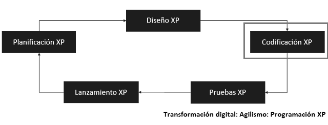 flujo que muestra como se relacionan los elementos para fase de codificación con xp