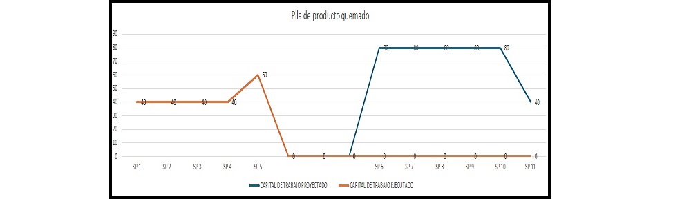 plantilla que muestra como se debe diligenciar el documento para la pila de producto grafico de quemado