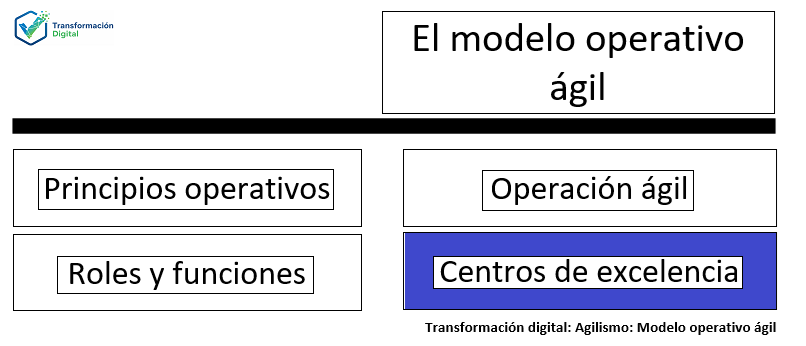 Los centros de excelencia TI