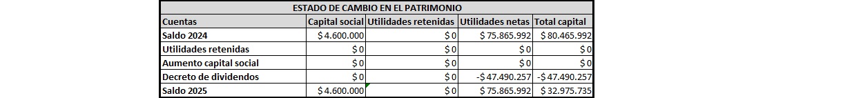 plantilla que muestra como se debe diligenciar el documento para informe financiero: estado de cambios en el patrimonio neto