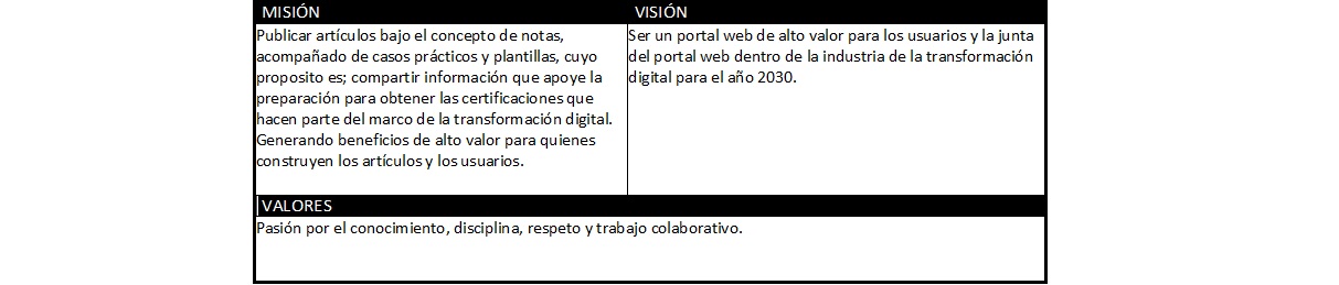 plantilla que muestra como se debe diligenciar el documento para la visión, misión y valores de la organización