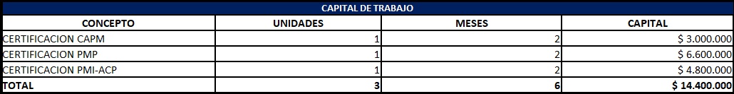 plantilla que muestra como se debe diligenciar el documento para el capital de trabajo