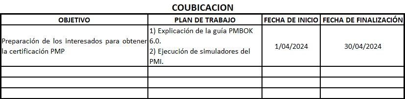 plantilla que muestra como se debe diligenciar el documento para la coubicación