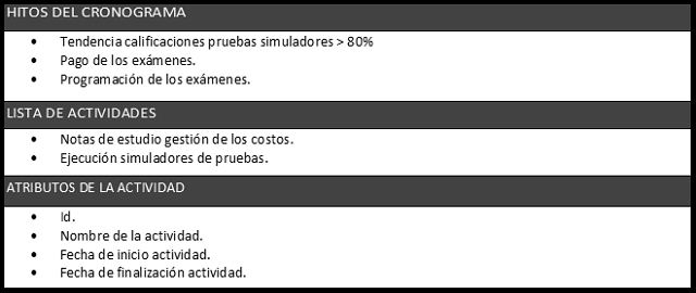 plantilla que muestra como se debe diligenciar el documento para los datos del cronograma