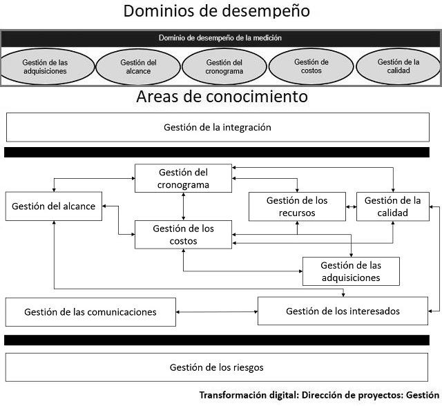 diagrama que muestra como se categorizan los elementos para el dominio de desempeño de la medición