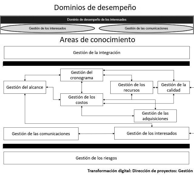 diagrama que muestra como se categorizan los elementos para el dominio de desempeño de los interesados