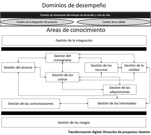diagrama que muestra como se categorizan los elementos para el dominio de desempeño del enfoque de desarrollo y ciclo de vida