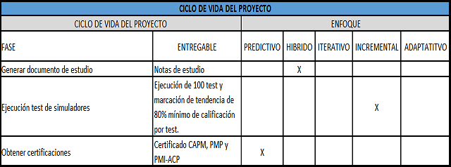 plantilla que muestra como se debe diligenciar el documento para el enfoque de desarrollo