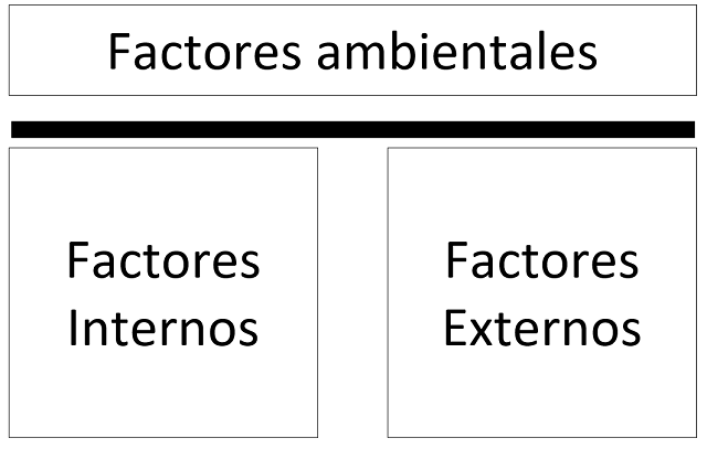 diagrama que muestra como se categorizan los elementos para la evaluación de los factores ambientales