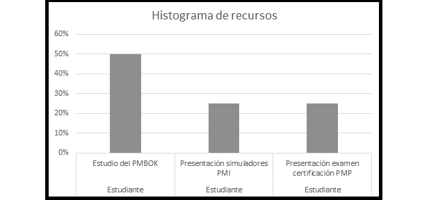 plantilla que muestra como se debe diligenciar el documento para el histrograma de recursos
