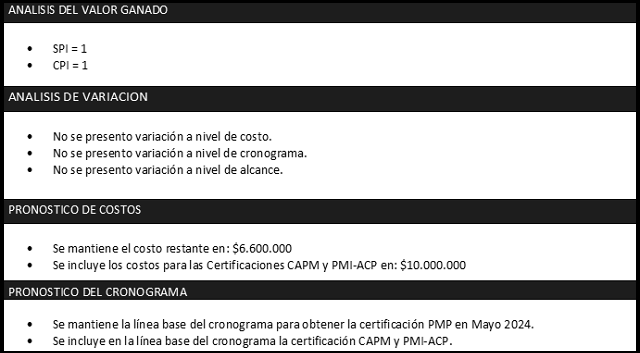 plantilla que muestra como se debe diligenciar el documento para la información desempeño del trabajo