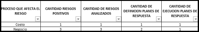 plantilla que muestra como se debe diligenciar el documento para el informe de riesgos