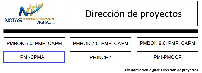 Dirección de proyectos IA