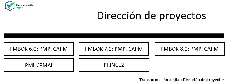 La dirección de proyectos