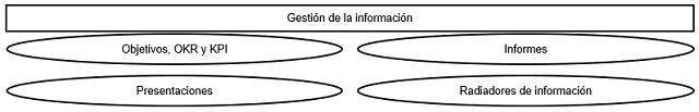 plantilla que muestra como se debe diligenciar el documento para la gestión de la información