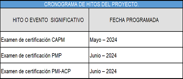 plantilla que muestra como se debe diligenciar el documento para la lista de hitos