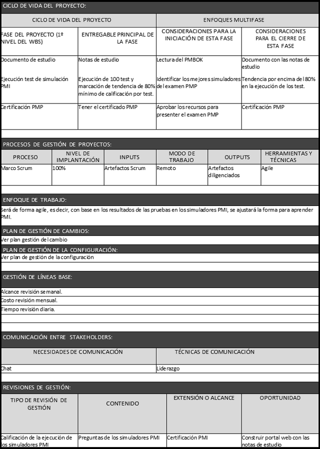 plantilla que muestra como se debe diligenciar el documento para el plan de dirección del proyecto