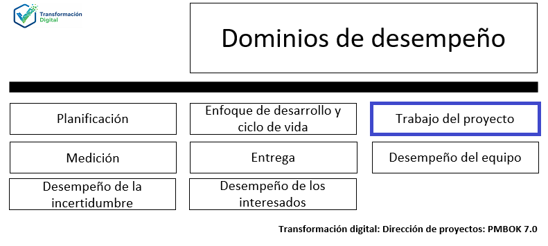 El dominio de desempeño del trabajo del proyecto